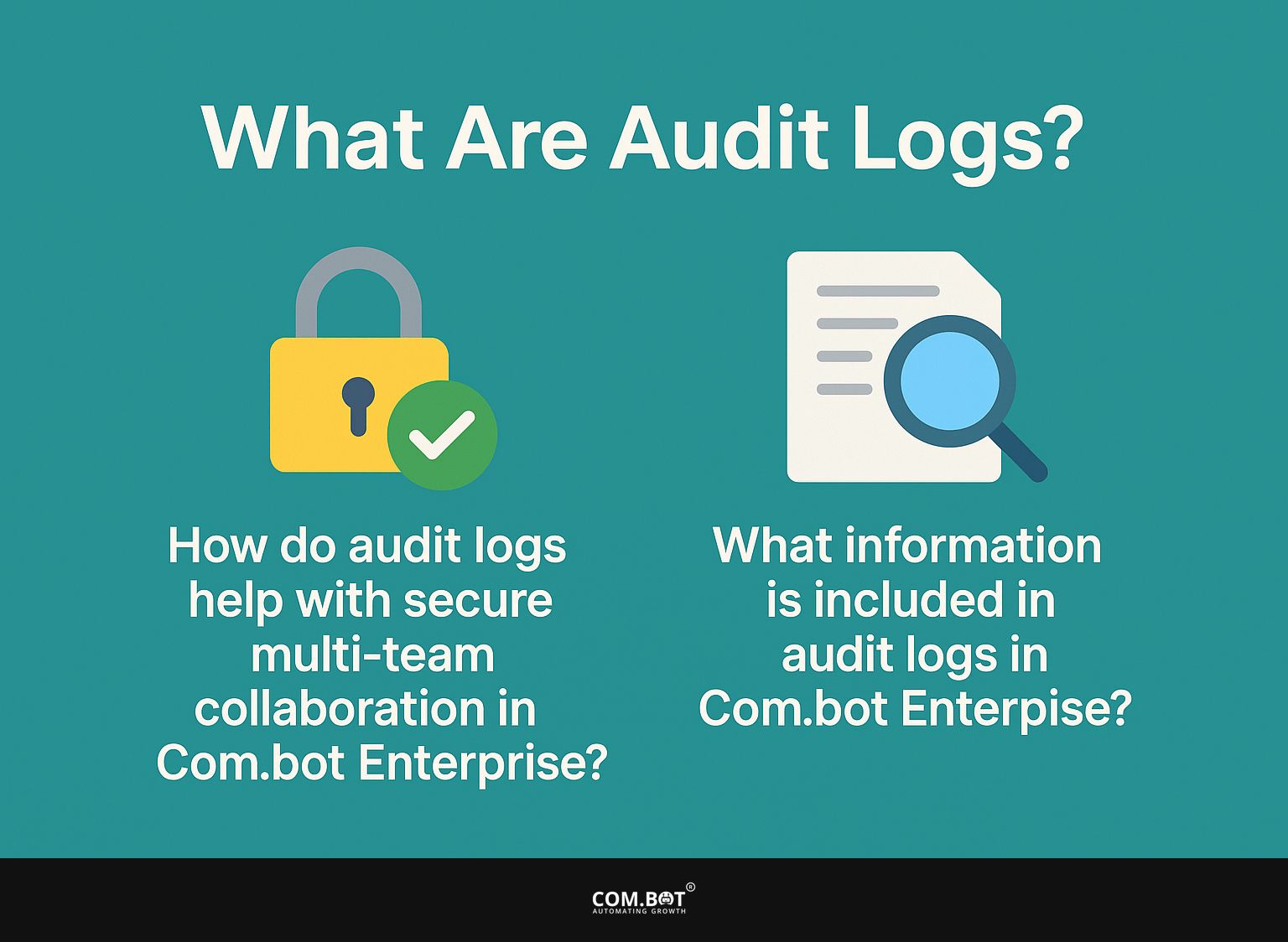 What are Audit Logs?