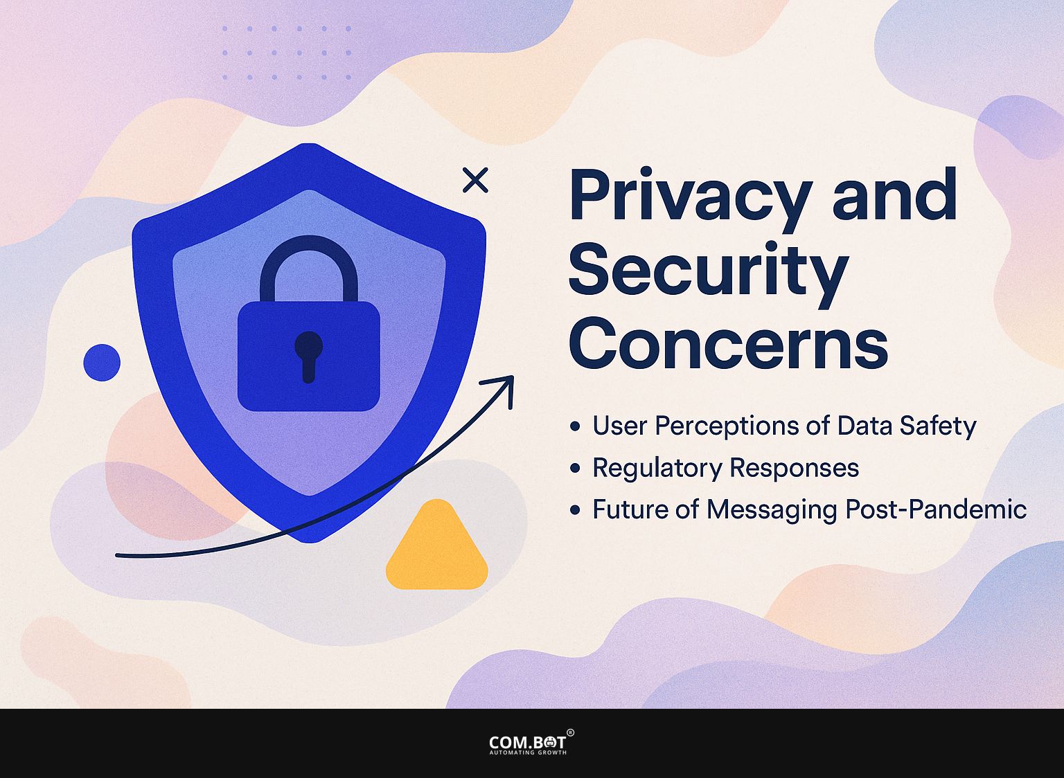 Privacy and Security Concerns