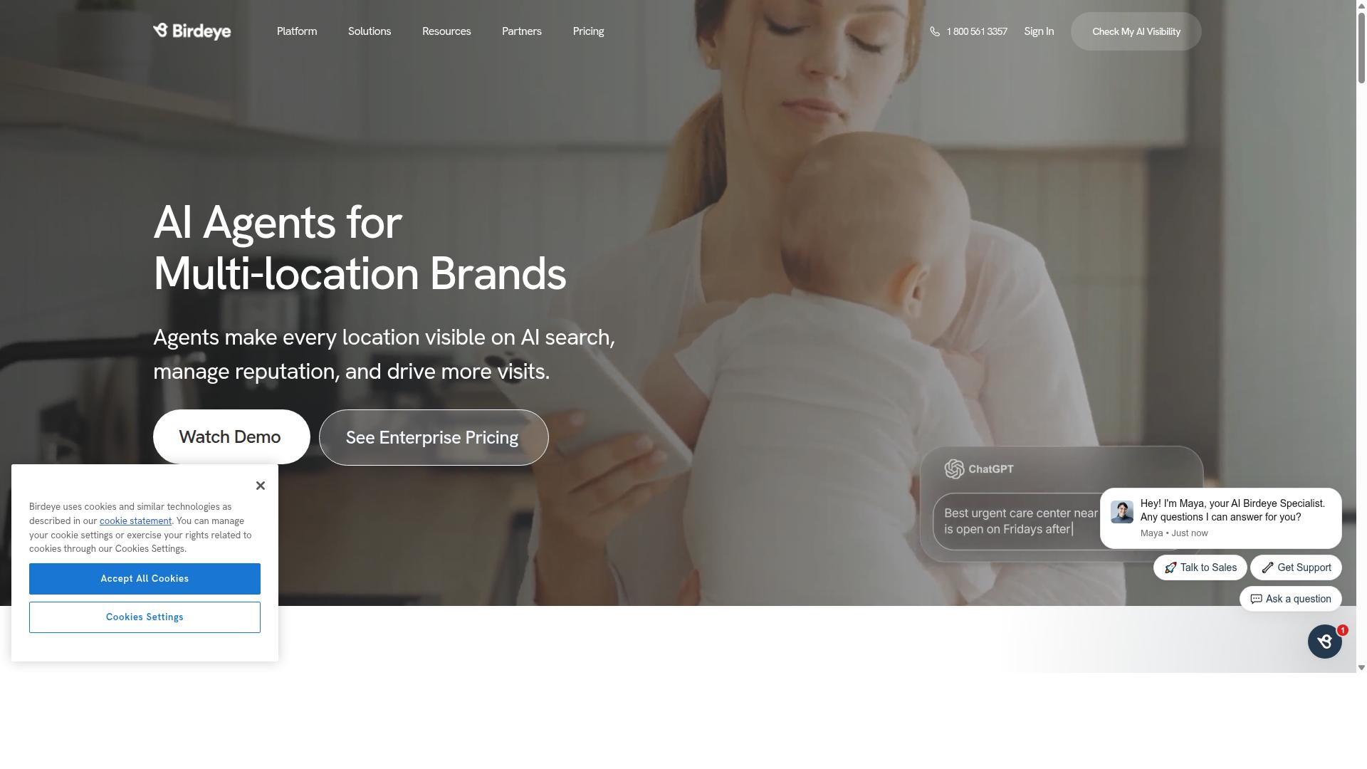 Birdeye website