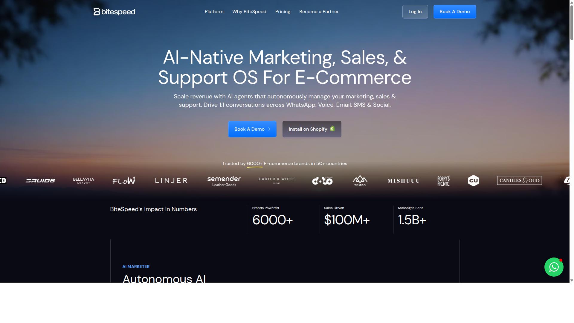 Bitespeed website