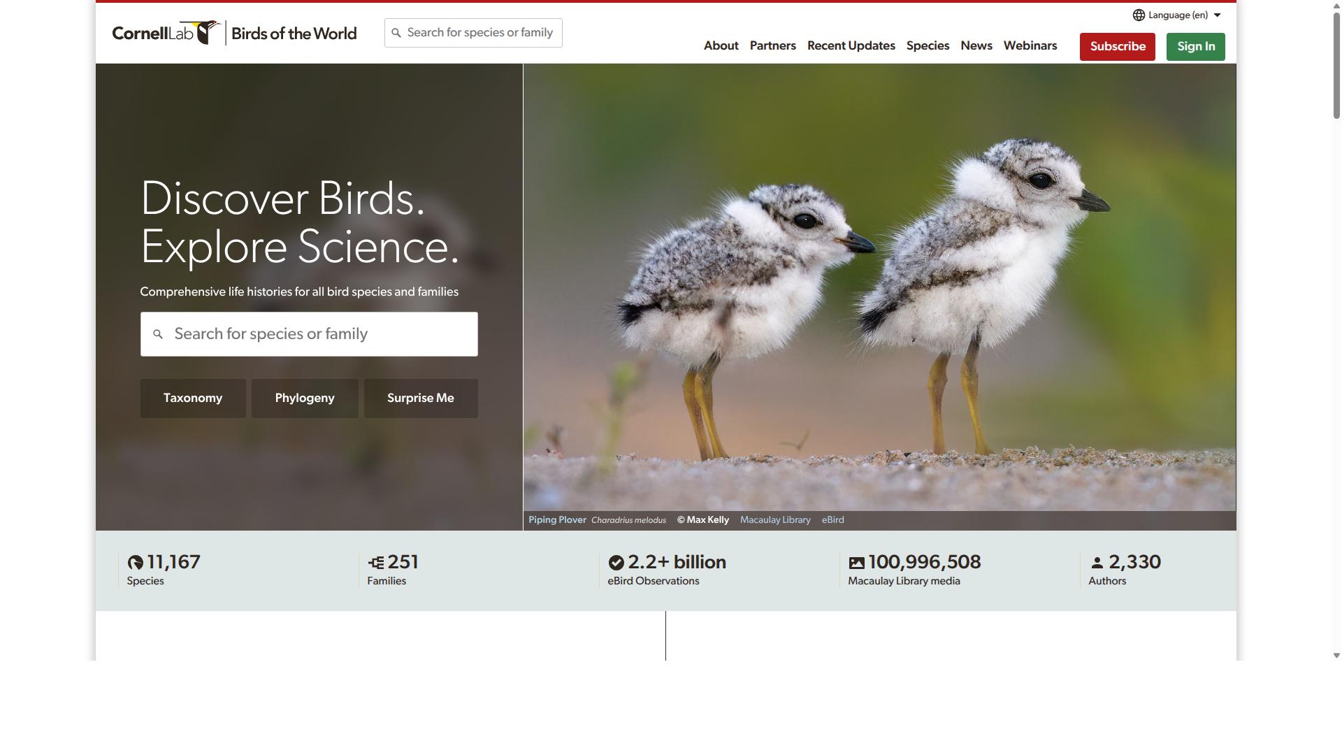 Bird website