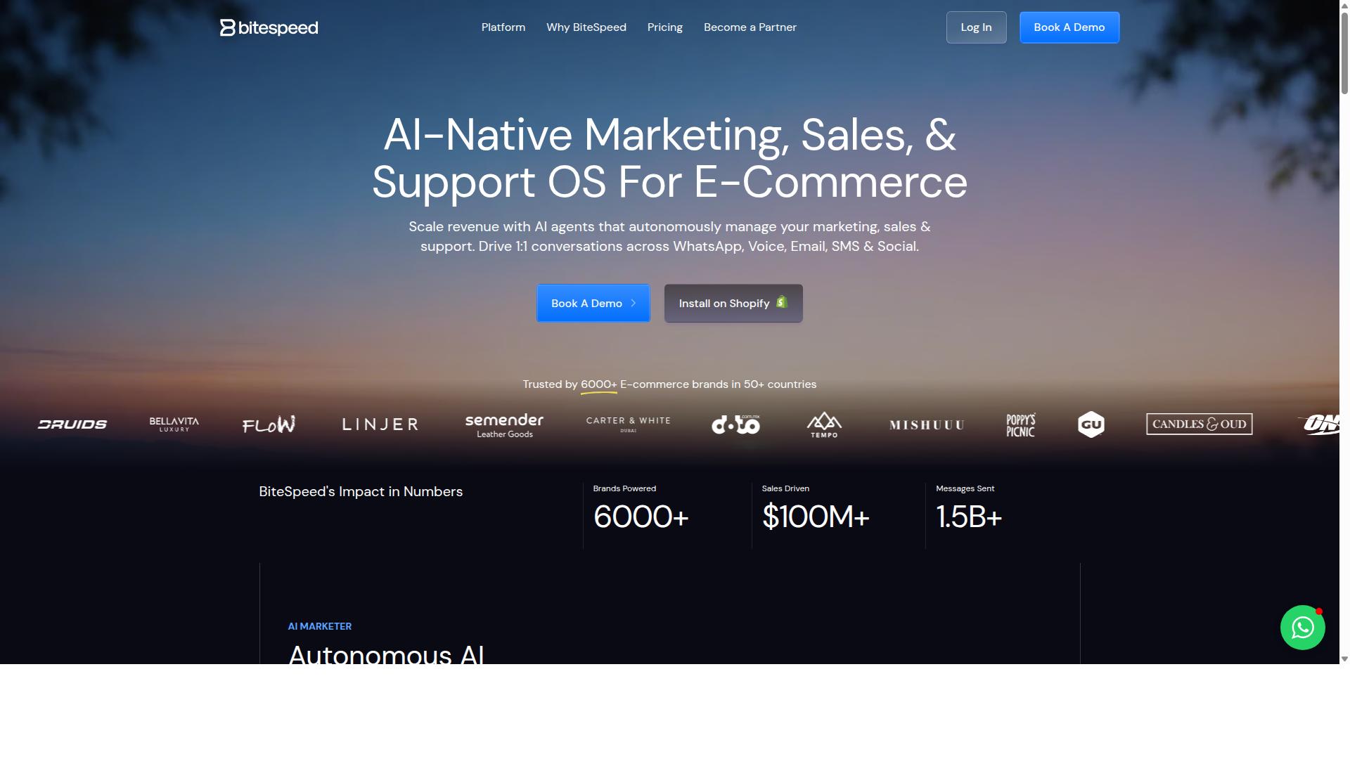 BiteSpeed website